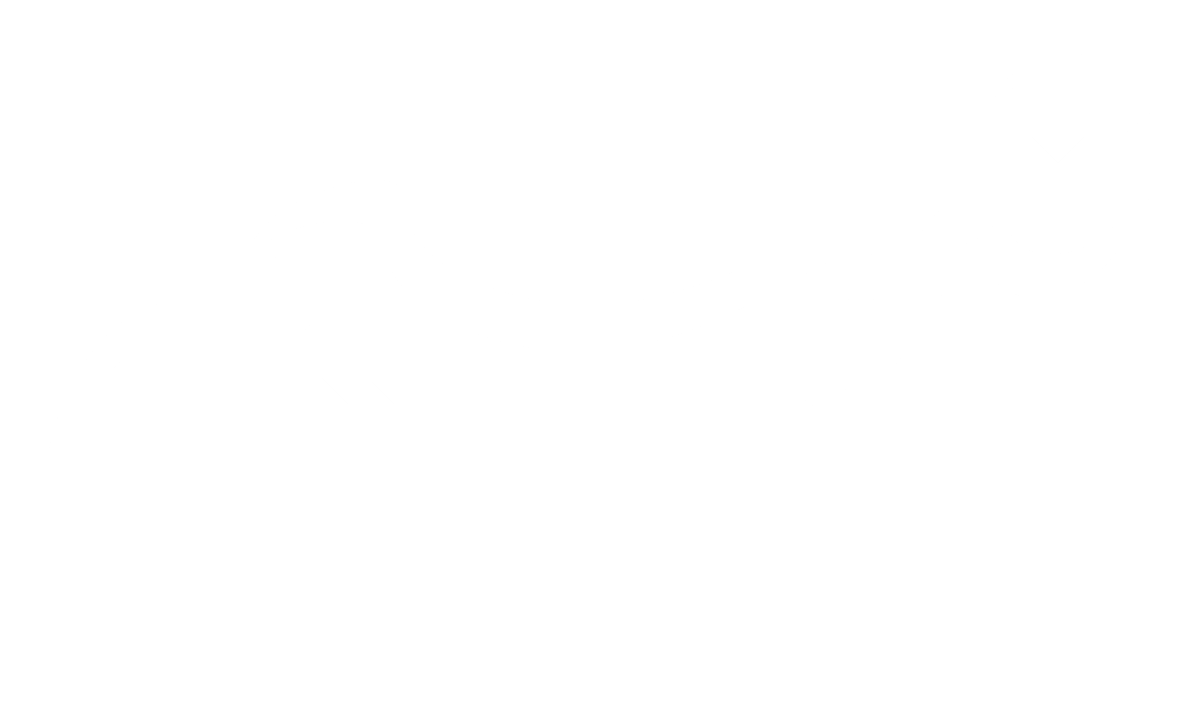 NASEEM